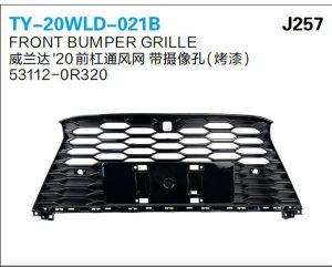 ty 20wld 021b.jpg