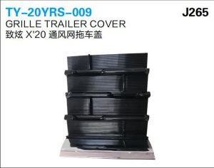 ty 20yrs 009.jpg