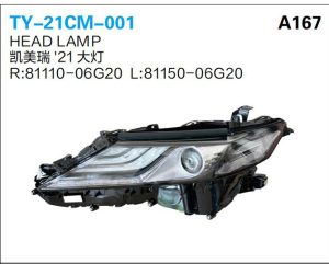 ty 21cm 001.jpg
