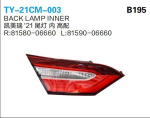 ty 21cm 003.jpg