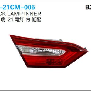 ty 21cm 005.jpg