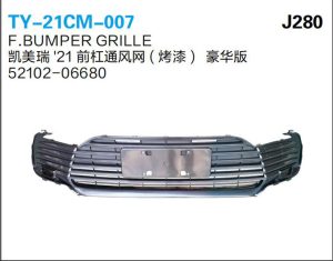 ty 21cm 007.jpg