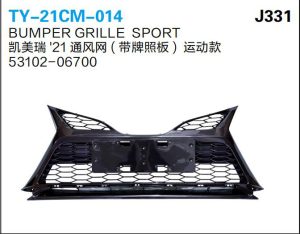 ty 21cm 014.jpg