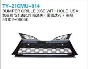 ty 21cmu 014.jpg