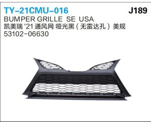 ty 21cmu 016.jpg