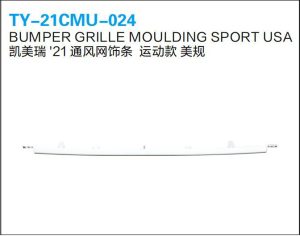 ty 21cmu 024.jpg