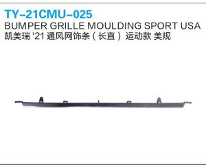 ty 21cmu 025.jpg