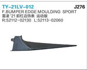 ty 21lv 012.jpg
