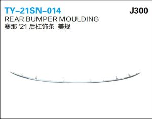 ty 21sn 014.jpg