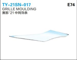 ty 21sn 017.jpg