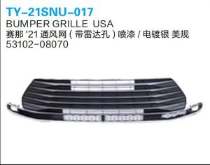 ty 21snu 017.jpg