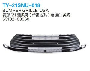 ty 21snu 018.jpg