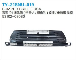 ty 21snu 019.jpg
