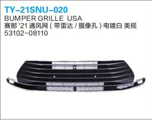 ty 21snu 020.jpg
