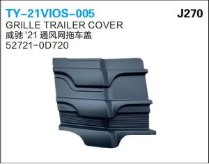 ty 21vios 005.jpg