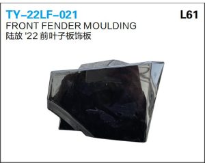 ty 22lf 021.jpg