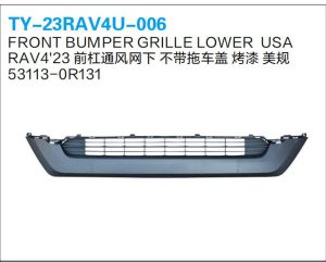 ty 23rav4u 006.jpg