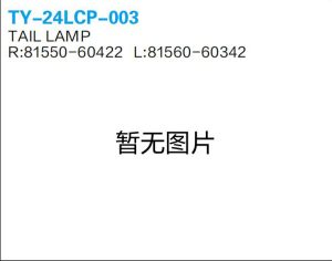 ty 24lcp 003.jpg