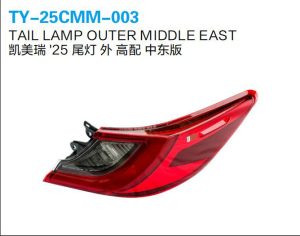 ty 25cmm 003.jpg