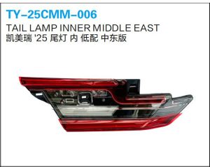 ty 25cmm 006.jpg