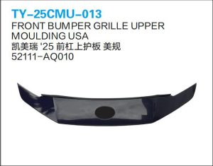 ty 25cmu 013.jpg