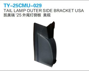 ty 25cmu 029.jpg