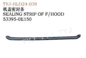 tyj hld24 039.jpg